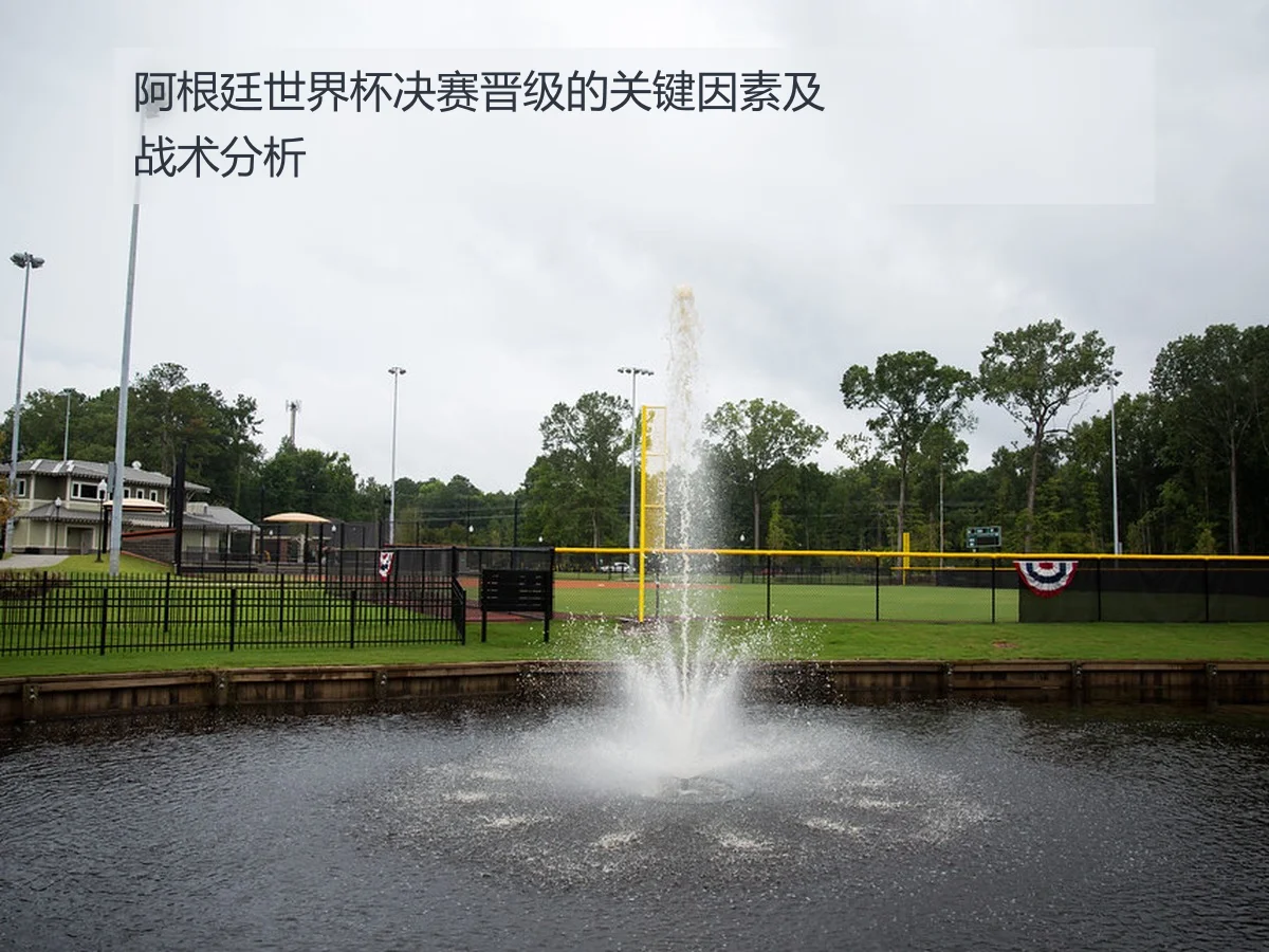 阿根廷世界杯决赛晋级的关键因素及战术分析