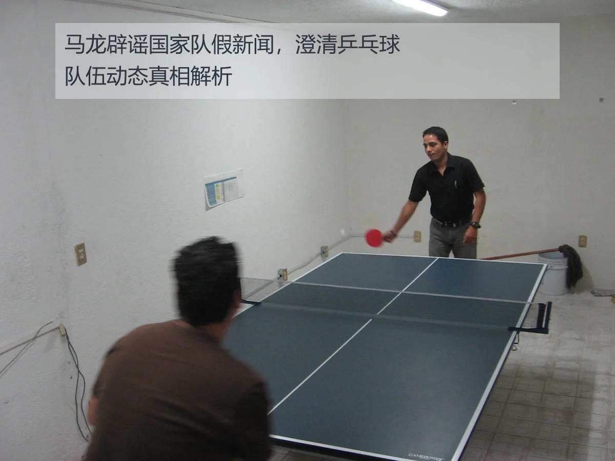 马龙辟谣国家队假新闻,澄清乒乓球队伍动态真相解析